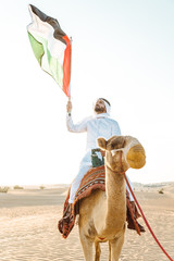 Wall Mural - Man wearing traditional clothes, taking a camel out on the desert sand, in Dubai