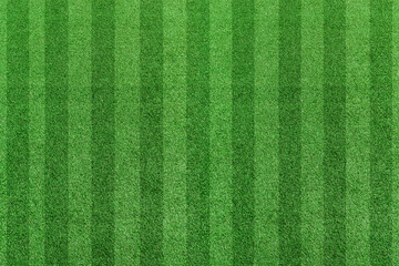 Top view stripe grass soccer field. Green lawn pattern background