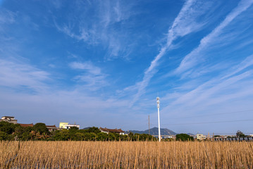 Rural fields under blue sky and white clouds