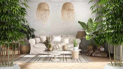 Zen interior with potted bamboo plant, natural interior design concept, old style living room in beige tone, Sofa, carpet, pillows, tables with decors and plants, architecture concept