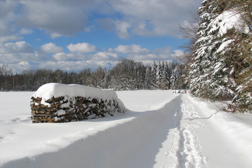 Sticker - Snow Landscape