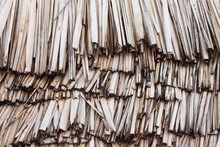 Thatched Reed Roof