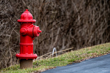 Red Fire Hydrant Next Tp Blacktop At A Business Location With Copy Space.