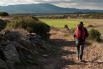 Wall Mural - Peregrino entre Undués de Lerda y Sangüesa en el Camino de Santiago Aragonés.