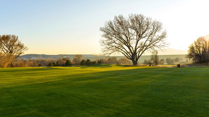 Wall Mural - Sunset Meadow - Autumn sunset view of a big tree standing on a green meadow at foothill of Front Range of Rocky Mountains.  Denver-Lakewood, Colorado, USA.