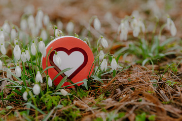 heart symbol surrounded by spring flowers