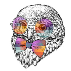 Wall Mural - Hand Drawn Fashion Illustration of Hipster Owl with round sunglasses. Vector illustration