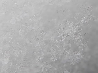 Snowflake Texture