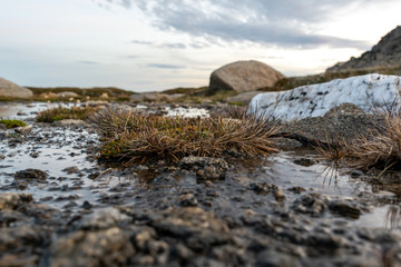 Moody evening close-up shot of an alpine pond with grass details and a white rock near the summit of Mount Kosciuszko (2228m above sea level) in Kosciuszko National Park, New South Wales, Australia.