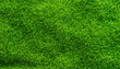© BUDDEE - Artificial grass background