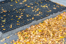 Autumn Dry Leaves From Trees On Threshold Of House With Rubber Mat For Shoes.