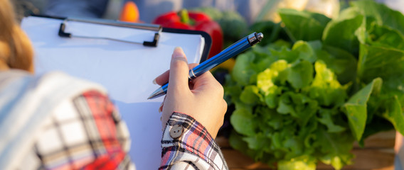 Young asian woman checking vegetable organic hydroponic farm and man harvest picking up fresh vegetable, girl writing record document grow of leaf, small business owner concept, banner website.