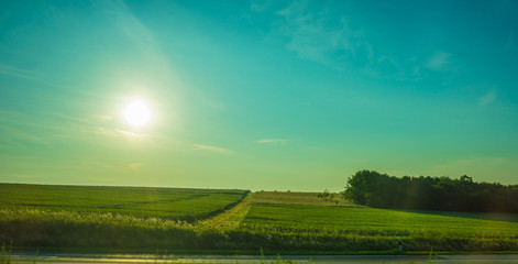 Wall Mural - Germany, Frankfurt, Sunrise, a large green field with trees in the background