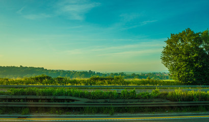 Wall Mural - Germany, Frankfurt, Sunrise, a view of a lush green field