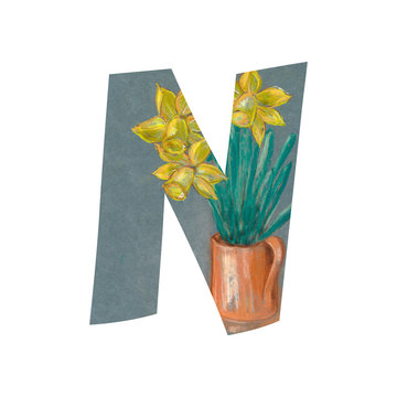 Letter N on white background with narcissus drawing by pastel.