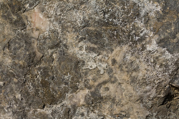 Wall Mural - Grey Granite Stone Texture. Rough stone