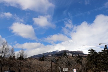 Poster - 森の駅　富士山