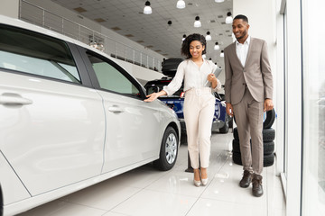 Wall Mural - Businessman Choosing Luxury Car With Auto Seller In Dealership Showroom