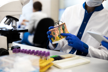 research scientist working with anatomical model in laboratory