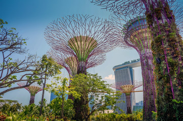 Garden by the Bay