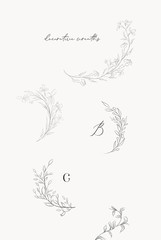 Wall Mural - Collection of delicate line drawing vector floral wreaths frames. hand drawn delicate flowers, branches, leaves, plants, herbs. Botanical illustration. Leaf logo. Wedding invitation stationary