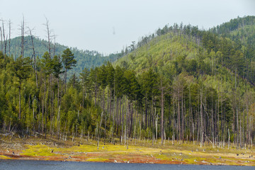 Beautiful landscape. Zeya reservoir, Amur region. Tall green trees grow next to the lake on a steep hillside.