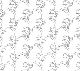  Vector Hand Drawn Line Drawing Doodle Floral Seamless Pattern with Wildflowers, Plants, Branches, Leaves. Design Elements Illustration. Branding. Swatch