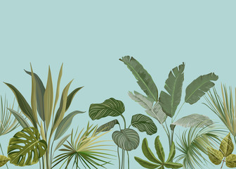 Wall Mural - Seamless Tropical Background, Floral Wallpaper Print with Exotic Philodendron Monstera Jungle Leaves, Rainforest Plants, Nature Ornament for Textile or Wrapping Paper, Botanical Vector Illustration