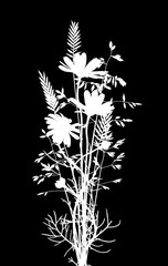 Wall Mural - White silhouette of bouquet of daisy flowers and grass