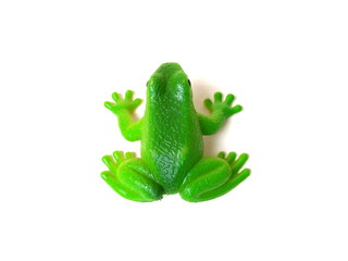 Wall Mural - Close up of green frog toy isolated on white background. Artificial frog. Kids toy. Rubber toy.