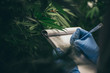Leinwandbild Motiv scientist checking on organic cannabis hemp plants in a weed greenhouse. Concept of legalization herbal for alternative medicine with cbd oil, commercial pharmaceptical medicine business industry	