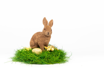 Easter bunny with eggs in nest isolated on white background