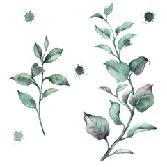 Wall Mural - Set of watercolor illustrations of floral greenery. Branches and leaves for creating wedding invitations in eco style.