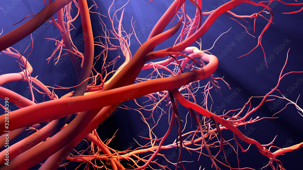 New blood vessel formation - obrazy, fototapety, plakaty 