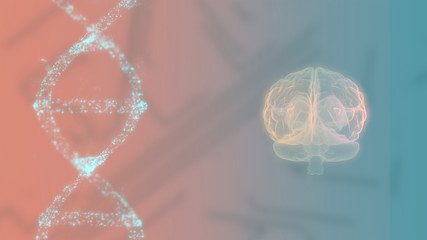 3d image of the human brain and DNA spiral on colorful screen.