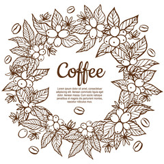 Wall Mural - Vector banner template with branches of coffee tree with flowers, leaves, berries and beans. Border coffee plant