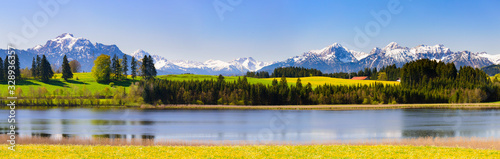 Fotografía panoramic landscape with meadow and lake in front of alps mountains