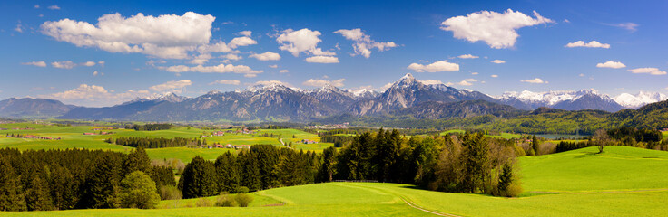 Poster - panoramic landscape with meadow and lake in front of alps mountains