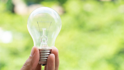 Hand holds light bulb with green trees background