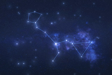 Wall Mural - cetus constellation in outer space. whale constellation stars with constellation lines elements of t