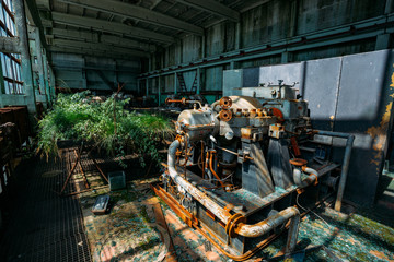 Wall Mural - Old abandoned overgrown factory with rusty remains of industrial machinery in workshop