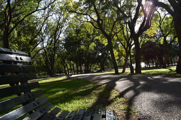 Paseo en el parque