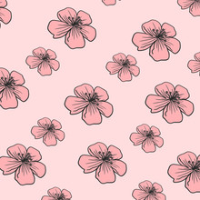 Cherry Blossom Pink Pattern Blooming Spring Flowers Floral Botanical Background Illustration For Card Design