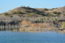 Lake Havasu National Wildlife Refuge On The Colorado River In Mohave County, Arizona USA