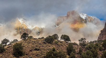 Wall Mural - Early winter foggy morning in Zion Canyon