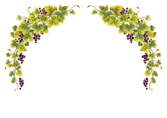 Wall Mural - Grapes illustration frame 03-1