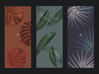 Wall Mural - Set Nature minimal banner for branding packaging. Tropical summer plant and leaf with ink brush black outline stoke. For spa resort luxury hotel, yoga, beauty, cosmetic, texture. vector illustration