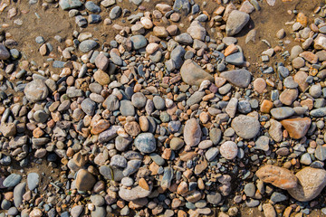 Wall Mural - Pebble stone background. Sea Pebble. Beach stones. Natural background. Stone texture