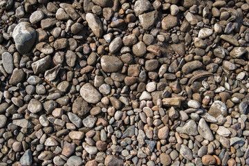 Wall Mural - Pebble stone background. Sea Pebble. Beach stones. Natural background. Stone texture