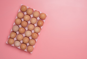 Sticker - brown eggs in egg box on pink background